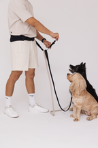 The Attachdᵀᴹ Hands-Free Dog Belt