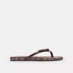 Bow FlipFlops