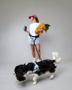 The Attachdᵀᴹ Hands-Free Dog Belt