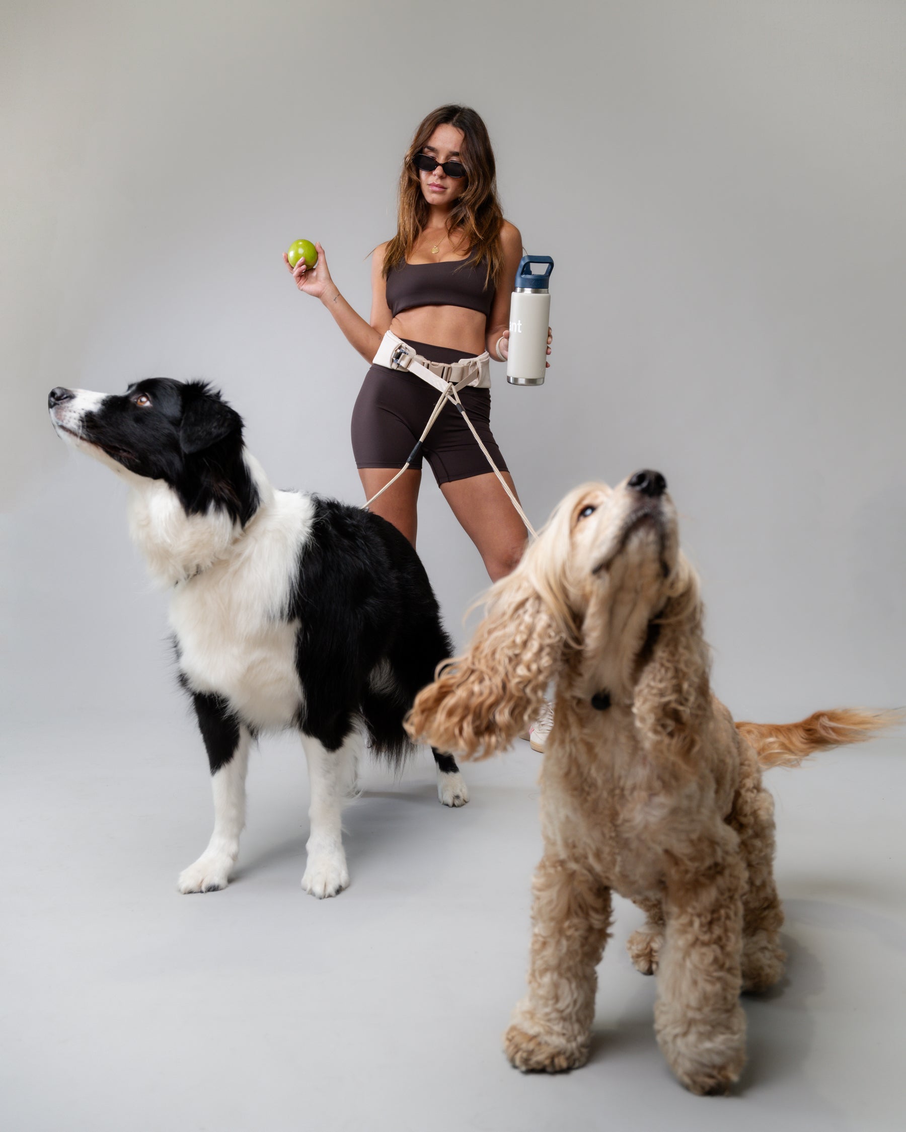 The Attachdᵀᴹ Hands-Free Dog Belt
